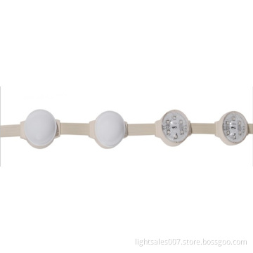 Flexible LED Strip Light ,LED Pixel RGB ,ABS Plastic Housing Body and PC Lamp Cover, 5050 SMD